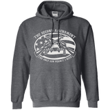 2ND AMENDMENT IS THE ONLY GUN PERMIT I NEED HOODIE