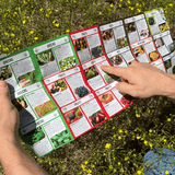 The Foldable Forager