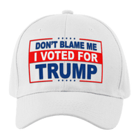 Don't Blame Me, I Voted For Trump Hat