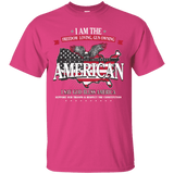Politically Incorrect American Patriotic T-Shirt [SE]