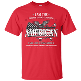 Politically Incorrect American Patriotic T-Shirt [SE]