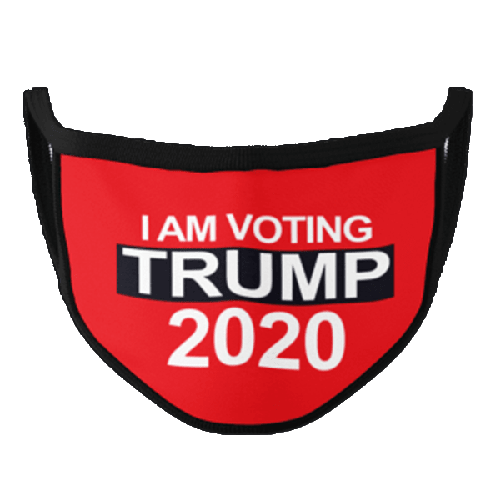 Voting Trump Mask