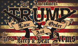 Trump 2nd Amendment Flag [SE]