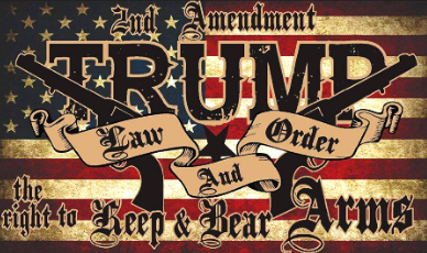 Trump 2nd Amendment Flag [SE]