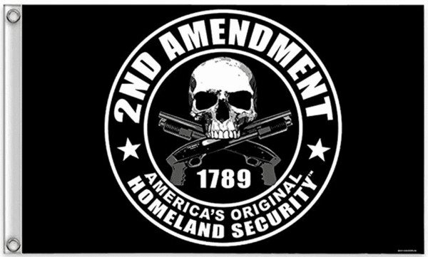 2nd Amendment Original Homeland Security Flag [SE]