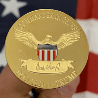 Trump 2020 "Keep America Great" Gold-Plated Coin